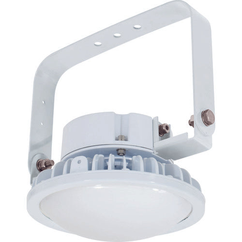 LED Light Hi-Disk  11601 L100B-P-HM110-50K  NICHIDO