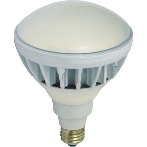 LED Light Bulb  14155 L20W-JW110-50K  NICHIDO