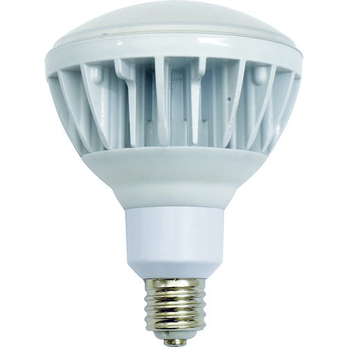 LED Light Bulb  13093 L40V2-J110-50K  NICHIDO