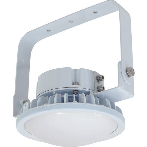 LED Light Hi-Disk  11631 L70B-P-HM110-50K  NICHIDO