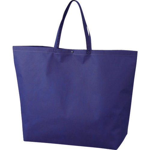 Nonwoven Handbag  LC0534AD10  A-ONE