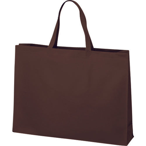 Nonwoven Handbag  LC0552AG10  A-ONE