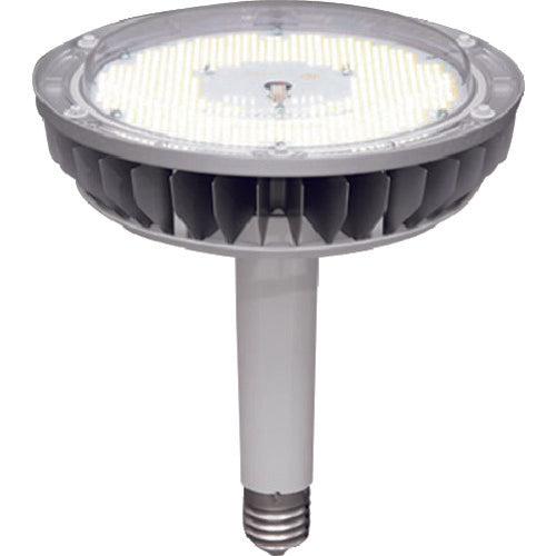 LED Light  LDR118N-E39/110  IRIS