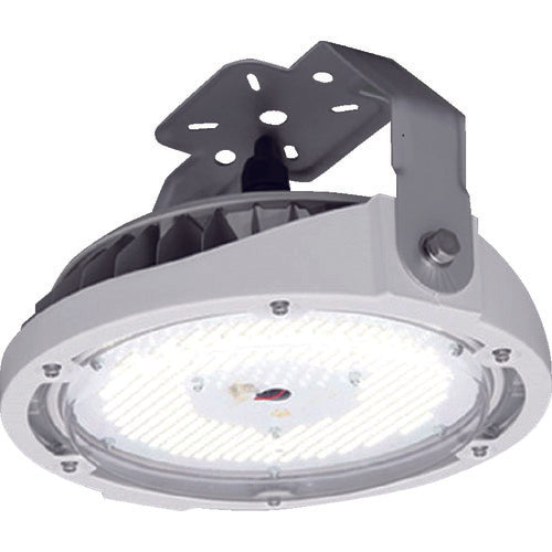 LED Light  LDRCL58N-110BS  IRIS