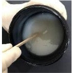 Load image into Gallery viewer, UV Curable Leak Repair Material  LEAKAID  LL-200-LA200G  MAEDA SHELL
