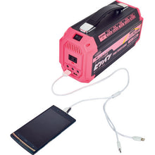 Load image into Gallery viewer, Portable Power Supply Unit  11535 LPE-R250L  NICHIDO
