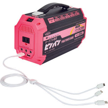 Load image into Gallery viewer, Portable Power Supply Unit  11535 LPE-R250L  NICHIDO
