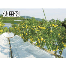 Load image into Gallery viewer, Line Tape Line Pro  LPL5  IWATA
