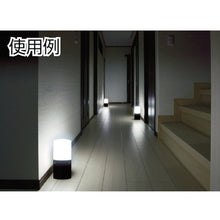 Load image into Gallery viewer, Garden Sensor Light  LSL-MS1-BK  IRIS
