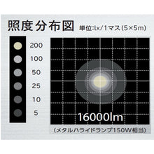 Load image into Gallery viewer, Balloon Light  LWB-15000S-W  IRIS
