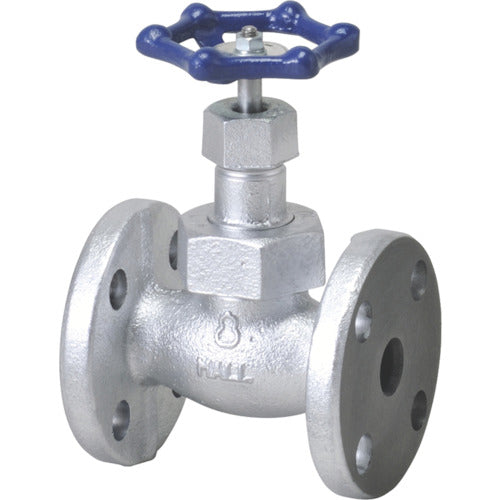 Globe Valve(10K)  M10KFG-25A  HITACHI