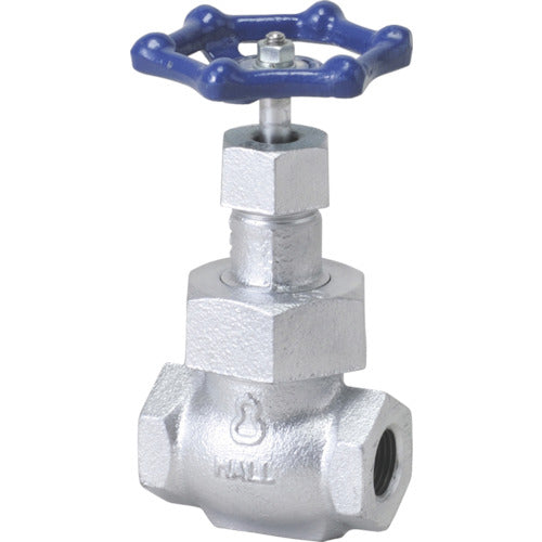 Globe Valve(10K)  M10KSG-20A  HITACHI