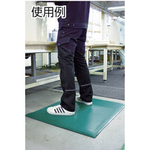 Load image into Gallery viewer, Tera Cushion Mat  MR-069-020-1  TERAMOTO
