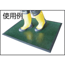 Load image into Gallery viewer, Anti-Bacteria Mat  MR-120-542-1  TERAMOTO
