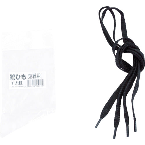 Shoelaces  MSA-SR-L  MIDORI ANZEN