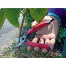 Load image into Gallery viewer, R-type Pruning Shears  2243  GS
