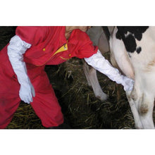 Load image into Gallery viewer, PVC Gloves with Arm Cover  NO240-MW  SHOWA
