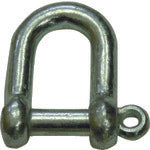 Galvanized D Shackle  NS6  HHH