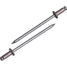 Load image into Gallery viewer, Blind Rivet  NSA34  LOBSTER
