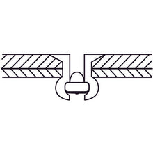 Load image into Gallery viewer, Blind Rivets(Countersunk head) eco pac  NSA62KMP  LOBSTER
