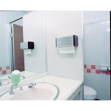 Load image into Gallery viewer, Stainless Paper Towel Holder  OT-568-200-0  TERAMOTO
