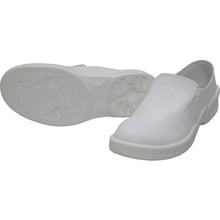 Load image into Gallery viewer, Anti-Electrostatic Safety Shoes  PA9880W24.5  GOLDWIN
