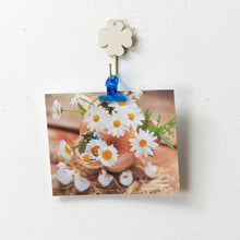 Load image into Gallery viewer, Polycarbonate Clip  PC20-Y  TRUSCO
