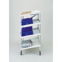 Load image into Gallery viewer, Phoenix Wagon  PEW-12124N-YG  TRUSCO
