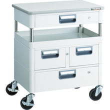 Load image into Gallery viewer, Phoenix Wagon  PEW-761VZWT-YG  TRUSCO
