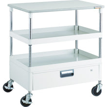 Load image into Gallery viewer, Phoenix Wagon  PEW-972VT-W  TRUSCO
