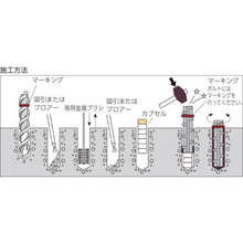 Load image into Gallery viewer, Chemical Anchor PG Type  PG-10N  DECOLUXE
