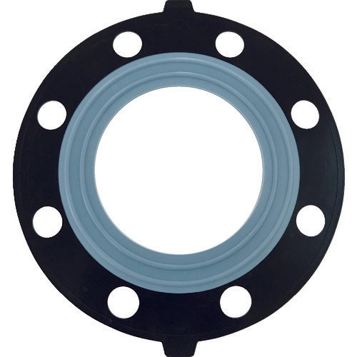 PTFE Gasket  PP1Q  ESLON