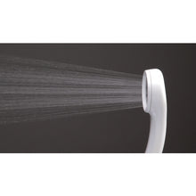 Load image into Gallery viewer, Water Saving Shower Set  PS300-CTA-MW2  SANEI
