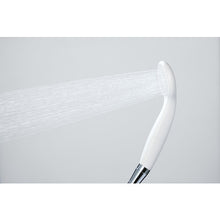 Load image into Gallery viewer, Water Purification Shower Head  PS7963-80XAB-MW2  SANEI
