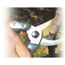 Load image into Gallery viewer, Garden Scissors  PSA-G8  CHIKAMASA
