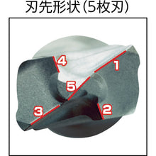 Load image into Gallery viewer, All Drill Power SDS PWL-Type(SDSplus)  PWL-10.0X165P  SANKO
