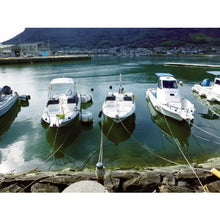 Load image into Gallery viewer, Vinylon Rope  239232  TRUSCO
