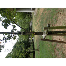 Load image into Gallery viewer, Cotton Rope(Three Strand)  239288  TRUSCO
