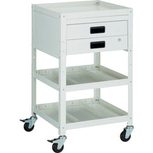 Load image into Gallery viewer, Rabit Wagon  RBW-953S2X W  TRUSCO
