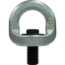 Load image into Gallery viewer, Rotating Eye Bolt  RE-12  MARTEC
