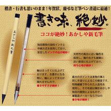 Load image into Gallery viewer, Brush Pen  SA300-3VK  AKASHIYA
