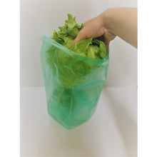 Load image into Gallery viewer, Freshness holding bag  SG-10  WATANABE
