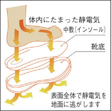 Load image into Gallery viewer, Anti-static Safety Sneaker  SL-615S-BK-25.5  MIDORI ANZEN
