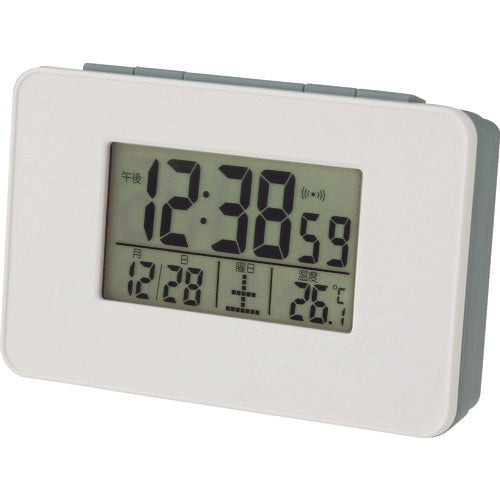 Radio Wave Clock  SN-01  ADESSO