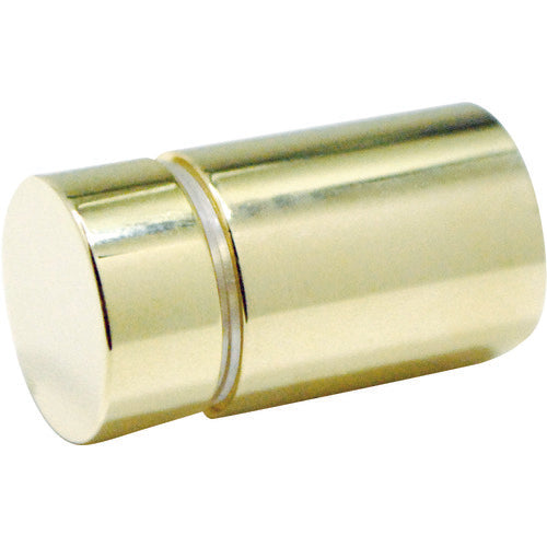 Gold Sign Nut 20  SN-AA205  TRUSCO