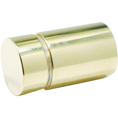 Gold Sign Nut 20  SN-AA206  TRUSCO