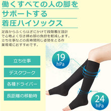Load image into Gallery viewer, Knee Socks  31895046-LL      MIDORI ANZEN

