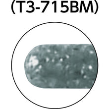 Load image into Gallery viewer, CBN Internal Bur (Rounded End)  D015721  TRUSCO
