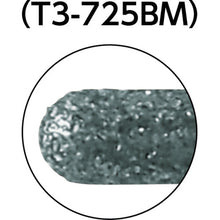 Load image into Gallery viewer, CBN Internal Bur (Rounded End)  D015723  TRUSCO
