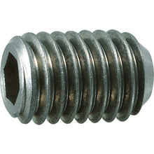 Load image into Gallery viewer, Titanium Hexagon Socket Set Screw  TB98-0406  TRUSCO
